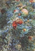John Singer Sargent Pomegranates (mk18) USA oil painting reproduction